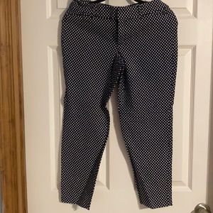 Navy blue and white polka dot pixie pant